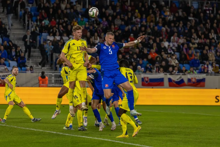 Denis Vavro, Slovensko